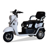 Electric Passenger Tricycle TD-A6L