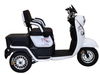 Electric Passenger Tricycle TD-A6L