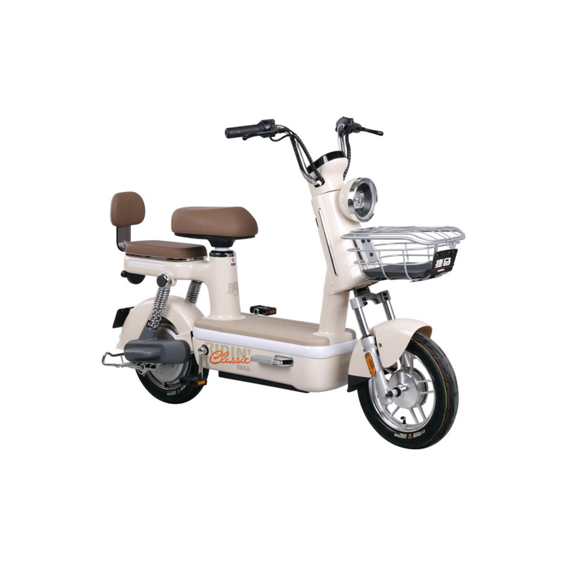 Small electric bicycles for women's transportation