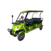 Newest 2 Person Electric Mini Golf Cart Lift Up Chassis with LED Light