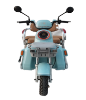 EEC Powerful 72v Electric Passenger Tricycle for Adults Use with Open Body & Lead Acid Battery