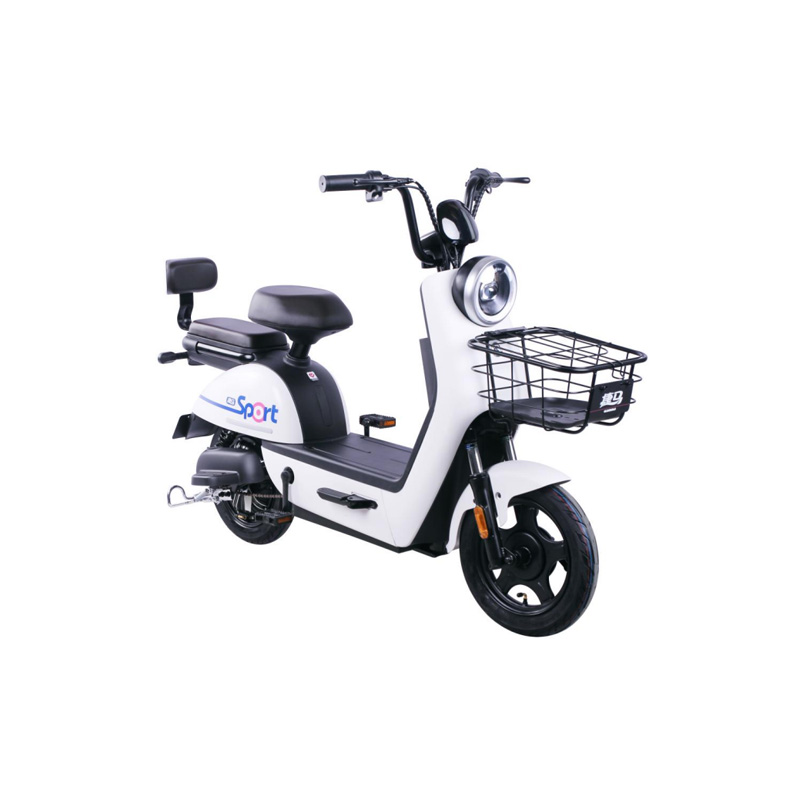 2024 direct hot selling cheap 2 seat electric scooter electric bicycle for adults