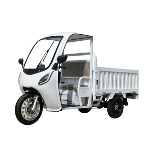 Cheap China Three Wheels Cargo Tricycle Motorcycle E Rickshaw with Cabin- Thunder EV Group