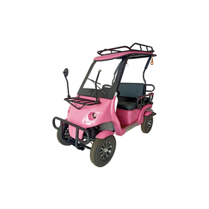 Hot Sale 2 Passengers Electric Golf Cart 4 Wheels Electric Vehicles (Q8-Back To Back)