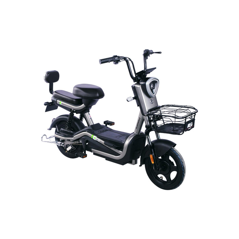Cheap Price Electric Scooter with 350W Motor 48V、60V /20AH 