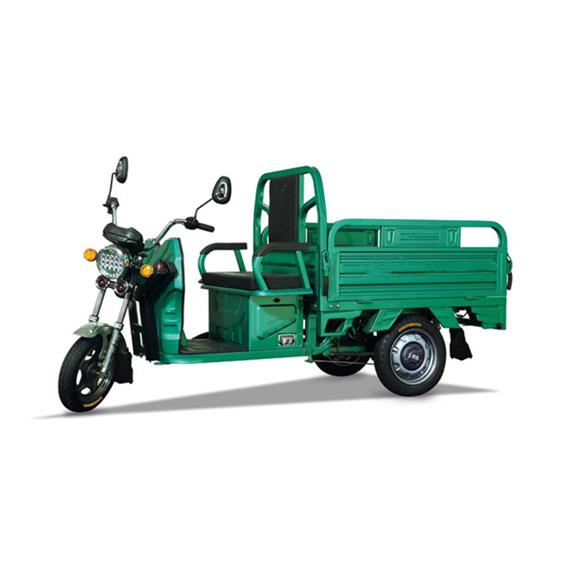 China Factory Electric Tricycle Climbing Hill 1000W Motor Tricycle Electric Cargo