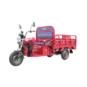 Electric cargo tricycle TD-JN
