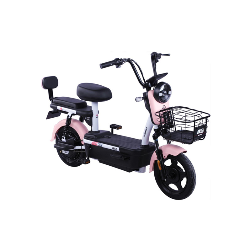 2024 pedals power assist 48V 350W electric bike bicycle 