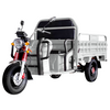 Best Selling 1000W Electric Cargo Tricycle 60V Motorized Three-Wheel Car Available Open Body Types Sale