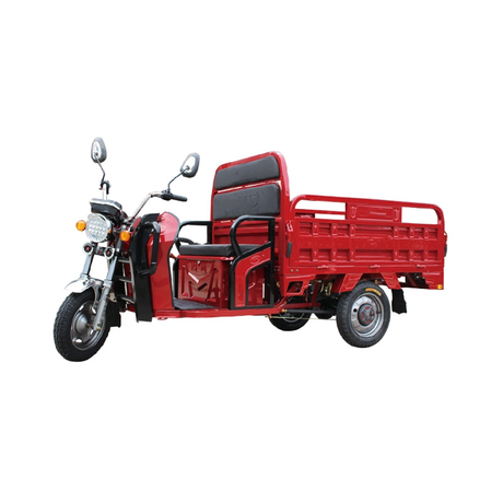 48/60V 800W 1000W Electric Cargo Tricycle
