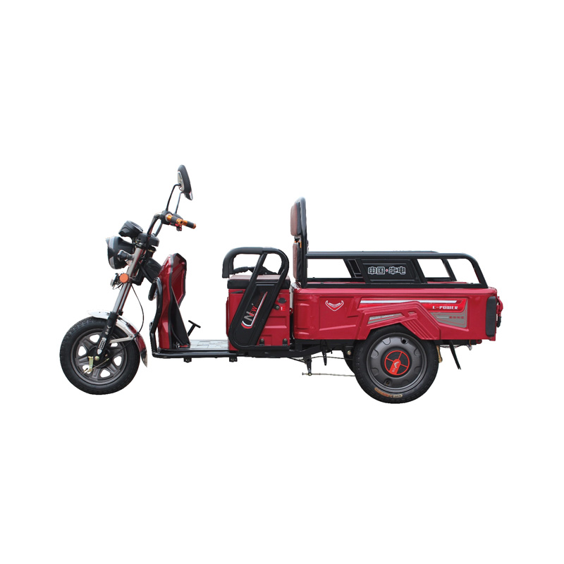 Electric cargo tricycle TD-RN