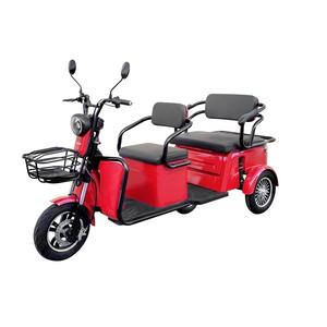 EEC Factory Direct Sales New Stylish Customizable 3-Wheel Electric Tricycles Steel Electric Trike for Families and Passengers