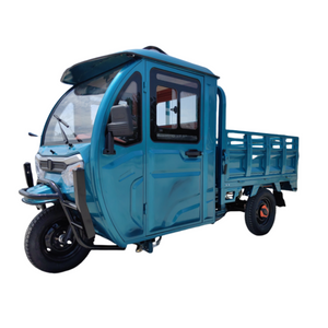  New Electric Cargo Tricycle E-Trike three Wheels with Closed Cabin Cargo Box for Adults- Thunder EV Group